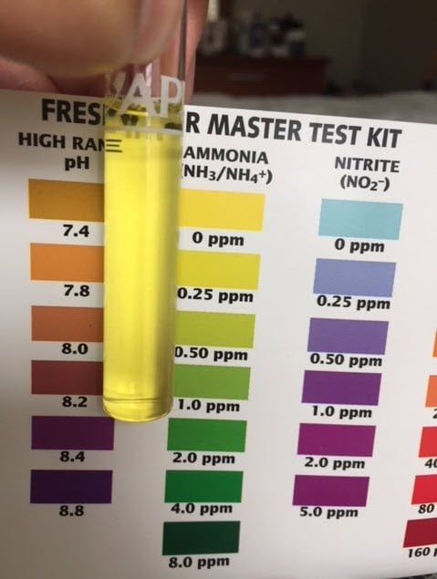 API ammonia test kit