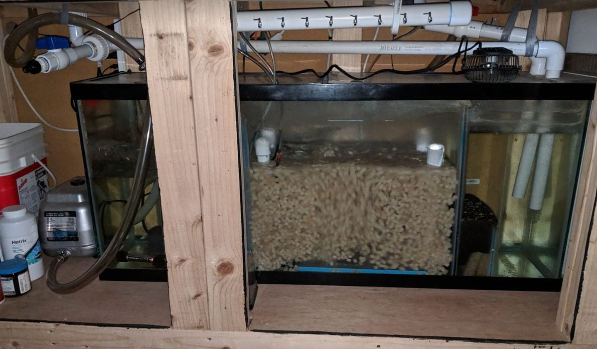 Do-it-yourself Sump Filters for Aquariums