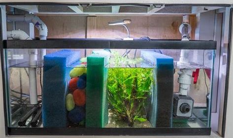 Sump Aquarium Filters in Depth
