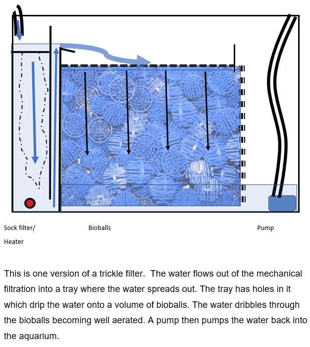 schematic of a trickle filter