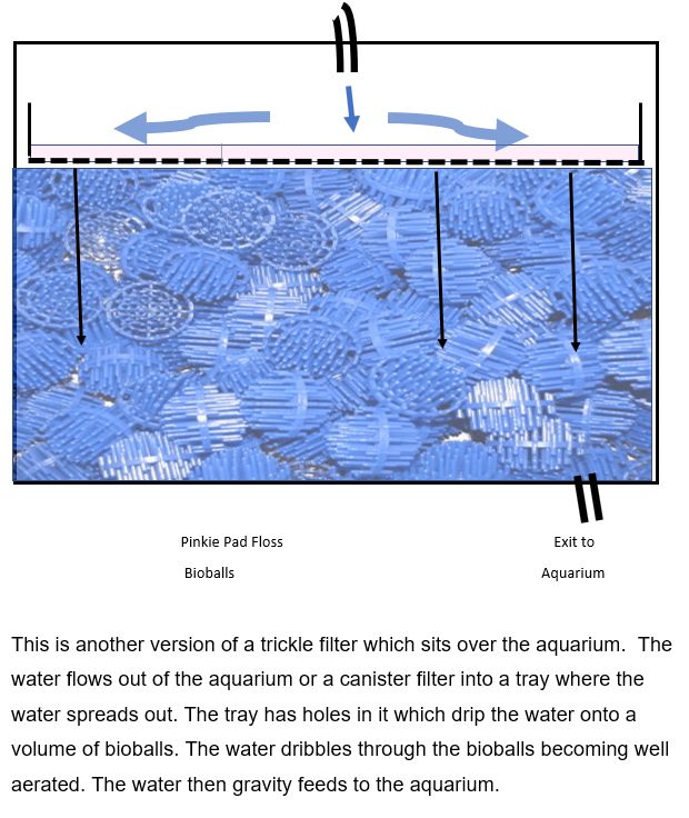 schematic of a trickle filter