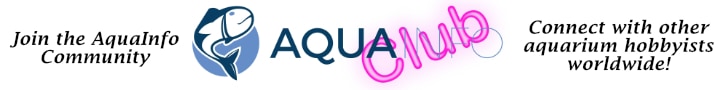 Join the AquaInfo Community!