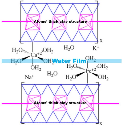 The structure of hydrated clay
