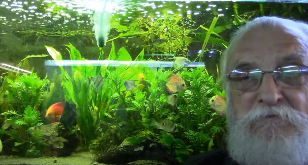 Father Fish